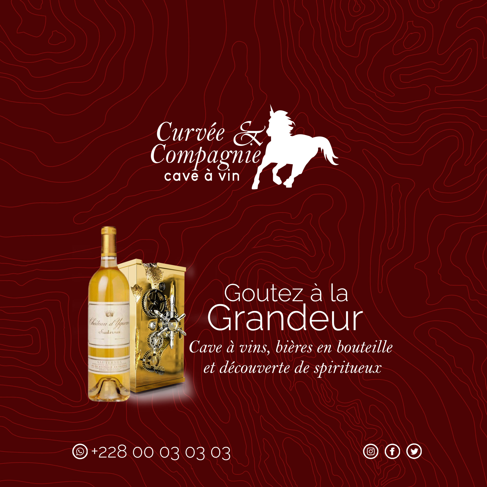 La cave à vin du couple Soglo : Projet, étude de cas de Thot Com